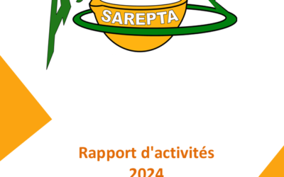Activity report 2024